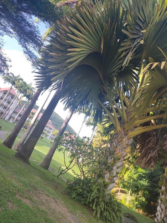 Appartement 2 A 6 Personnes Dans Un Magnifique Complexe De Vacances A Sainte-Luce Exteriér fotografie
